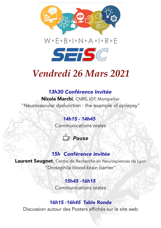 Programme Webinaire SEISC