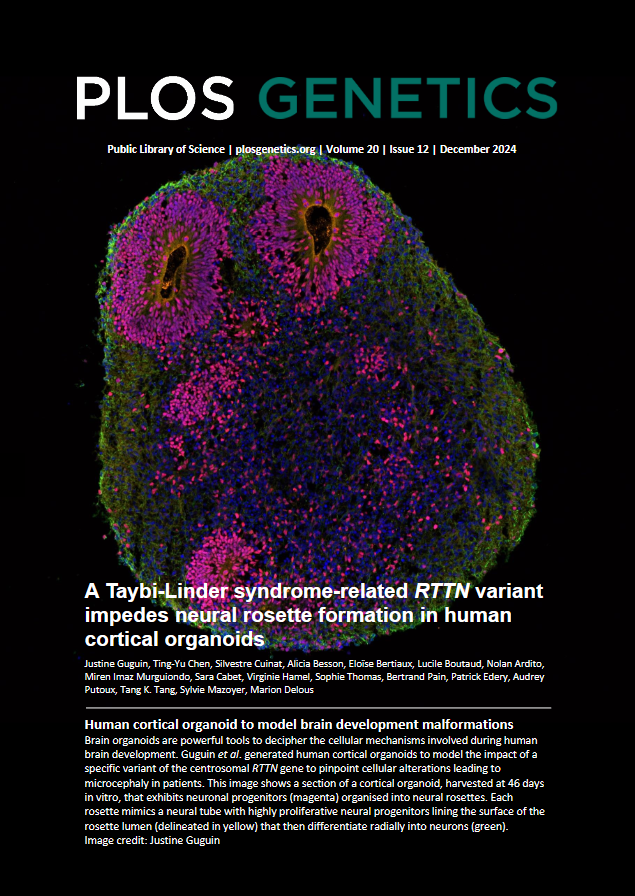 PLoS Genet_cover_December24