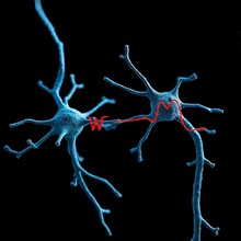 Vignette article "L’architecture du sommeil : la clé pour une mémoire optimale" - Crédits photos Jean-Christophe Comte