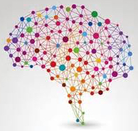 logo des NeuroImageurs