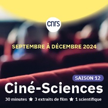 Image ciné-sciences CNRS