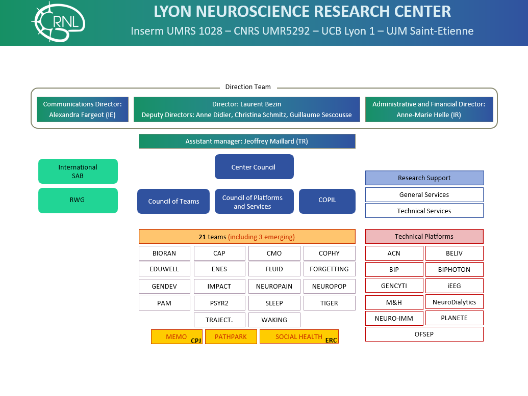 CRNL Organizational chart