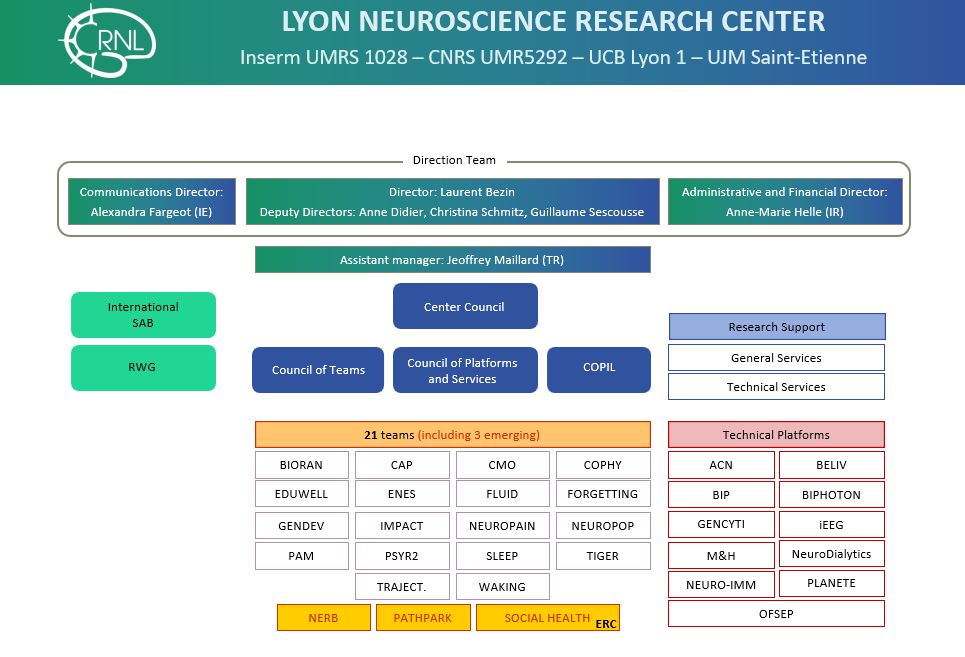 CRNL Organizational chart