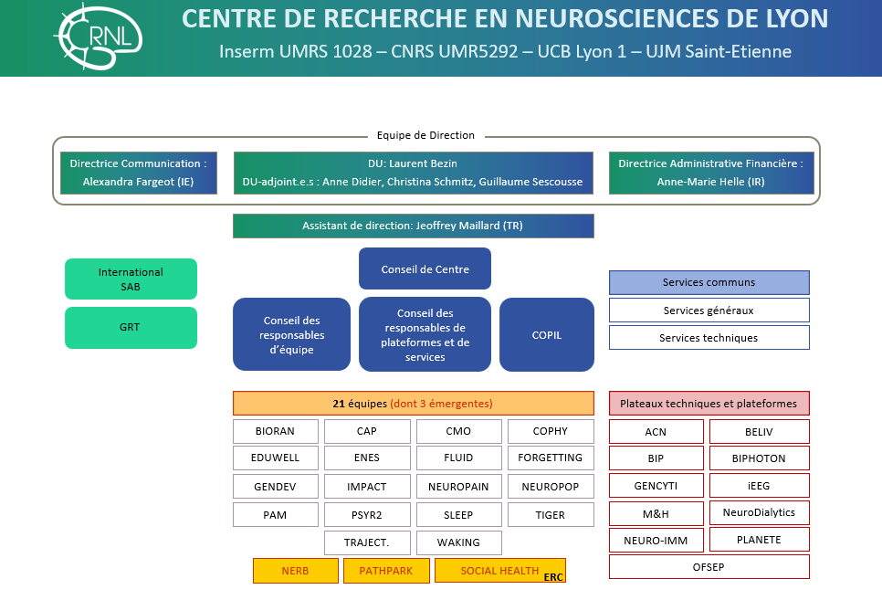 Organigramme du CRNL