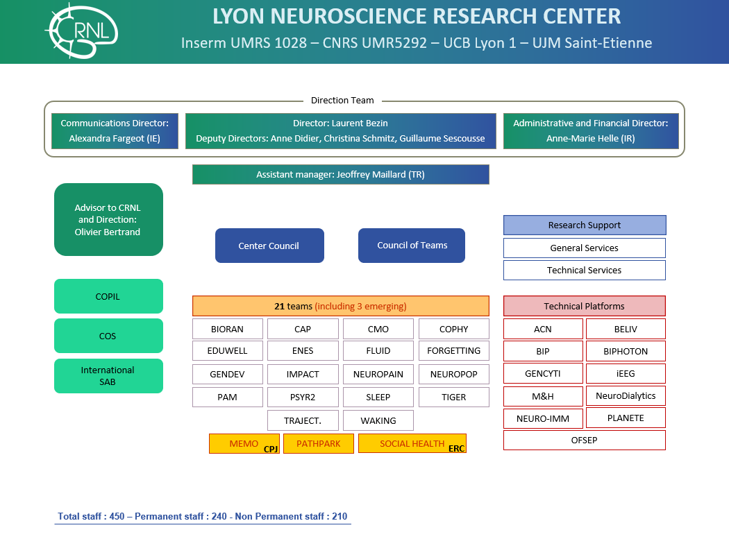 CRNL Organizational chart