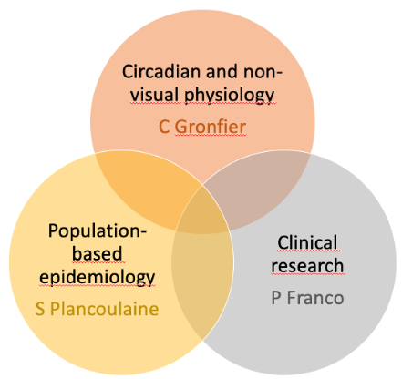 Shematic of the 3 main research lines in the group