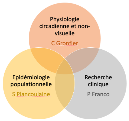 schéma des 3 principes lignes de recherche dans le groupe