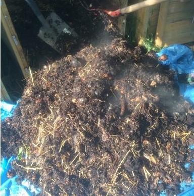 compost