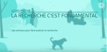 Les animaux pour faire avancer la recherche