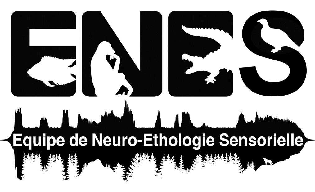 Logo Enes