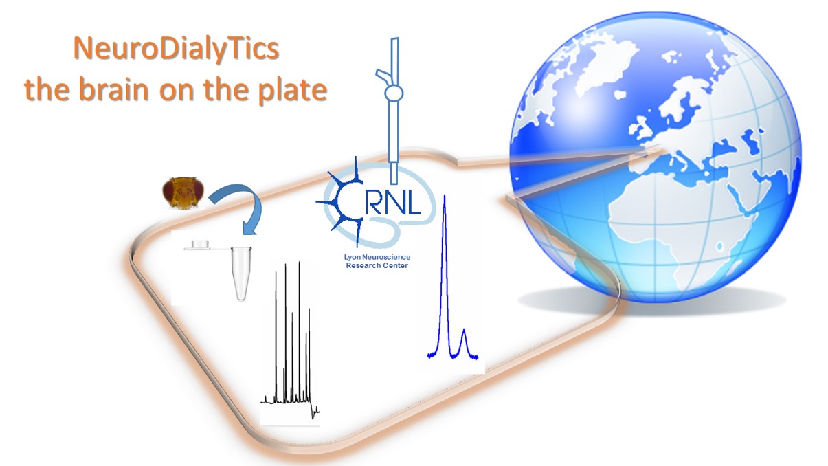 Neurodialytics illustration