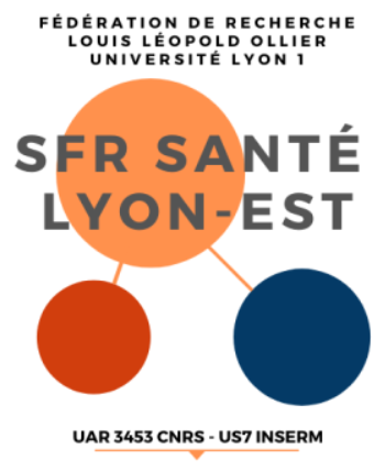 SFR Santé Lyon Est