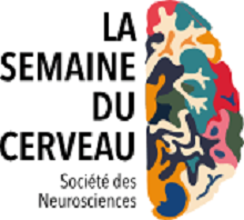 Semaine du cerveau