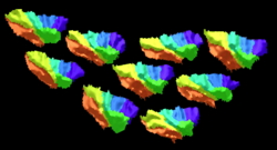 Macroanatomical subdivisions of right insula of nine persons