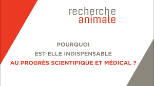 la recherche animale est indispensable