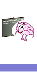 Neuroéducation 