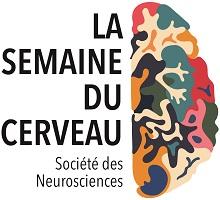Logo Semaine du Cerveau