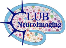 Club de Neuroimagerie du CRNL