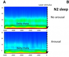 figure journal of neuroscience avril 2021