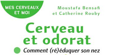 Cerveau_et_odorat