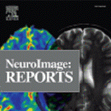 NeuroImage Reports